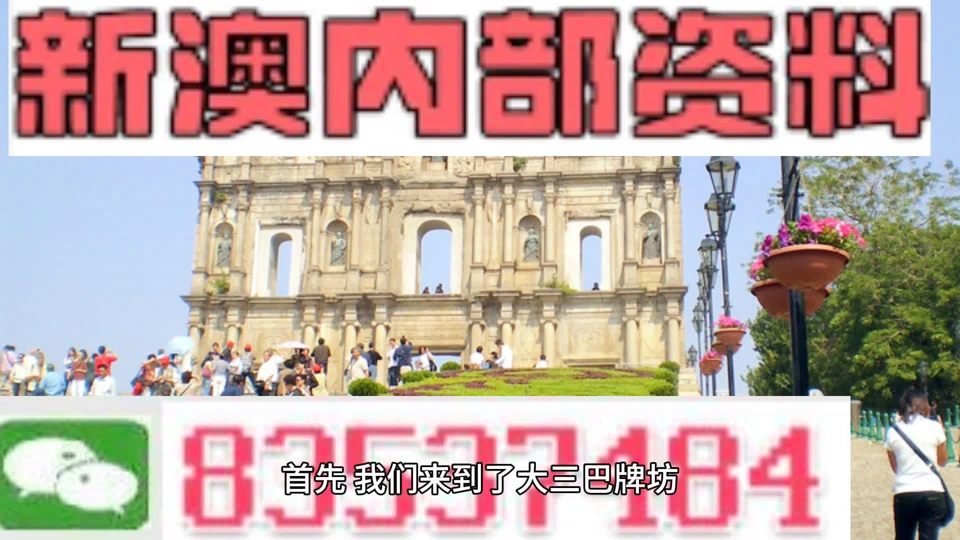 新澳2024正版資料免費(fèi)公開(kāi)，探索與啟示